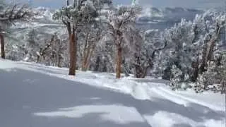 snowboarding smashing powder at Heavenly