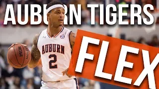 Auburn Tigers | Flex