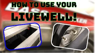 Bass Tracker Livewell System Overview and Review (Livewell Plumbing Explained)