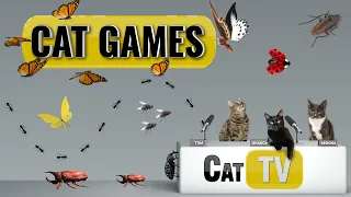 CAT-spellen | Ultieme Cat TV Bugs and Butterflies-compilatie Vol 4 🪲 🐞🦋🦗🐜