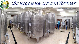 ТАШКЕНТ - Винодельня Uzumfermer  |  Uzumfermer Winery, Uzbekistan