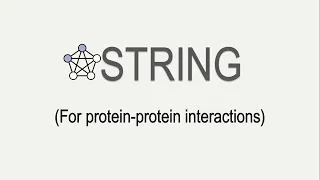 String | How to predict protein-protein interactions of your proteins | Bioinformatics