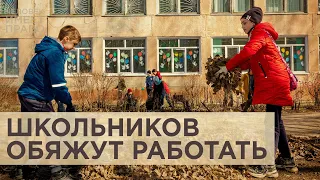 С 1 сентября российских школьников обяжут трудиться. Будут ли им платить?