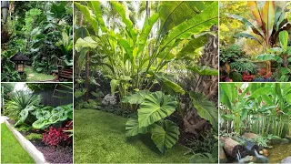 Tropical Garden Ideas That You Want for Inspiration in your Garden