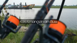 Karpfenangeln am Fluss / Fange ich den langersehnten Havel-Karpfen ?