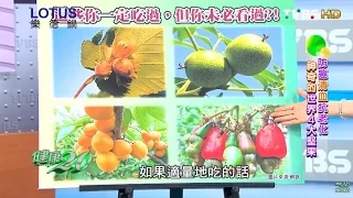 防癌清血抗老化 神奇的世界4大堅果 健康2.0 20160514(完整版)