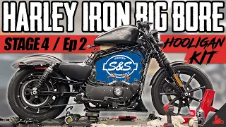 Harley Iron 883 BIG BORE Kit Install! (Hooligan Kit Ep 2)