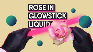 FLOWER + GLOWSTICK - This is what happened [Experiment]