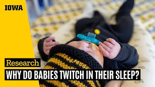 Why do babies twitch in their sleep?