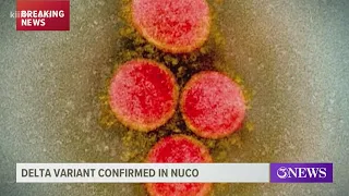 First case of COVID-19 Delta variant confirmed in Nueces County