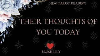 💖Their Thoughts of You Today - Online Tarot pick a Card Reading💖