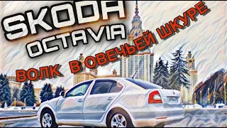 SKODA│OCTAVIA │ВОЛК В ОВЕЧЬЕЙ ШКУРЕ