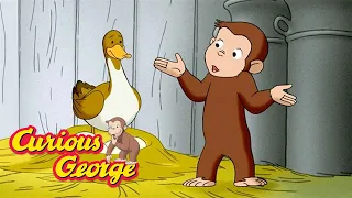 George's Farm Adventure 🐵 Curious George 🐵 Kids Cartoon 🐵 Kids Movies