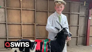 Meet the young farmer who rents his own land, breeds sheep and owns a border collie | SWNS