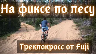 На фиксе по лесу. Треклокросс от Fuji . Первые впечатления!