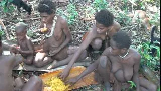 Eating Pandanus seeds in Papua/поедание семян пандануса Папуа