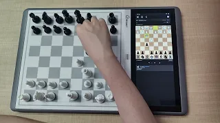 EVO and Lichess: Where Strategy Meets Innovation!