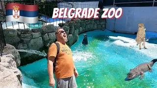 Vlog 9. Visit to the Belgrade zoo and Kalemagdan terrace bar.