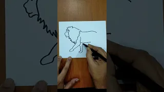 How To Draw A Lion #shorts #YTshorts #trending #viral | Easy Drawings | Magic Drawings #animals