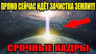 СРОЧНО К ПРОСМОТРУ!!! 04.01.2022!!! ЖУТКИЕ КАДРЫ!!!  НИКТО НЕ ВЫЖИВЕТ!!! СПЕЦВЫПУСК!!!