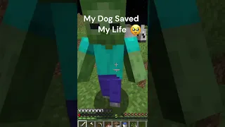 MY MINECRAFT DOG SAVED ME  #minecraft #dog #wholesome