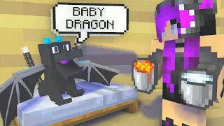 Monster School : BABY DRAGON  - Minecraft Animation