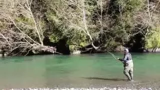 Swing North-Fly Fishing Winter Steelhead-California Trout