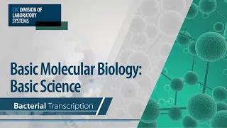 Basic Molecular Biology: Basic Science – Bacterial Transcription