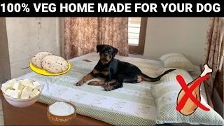 FINALLY 100% VEGETARIAN (HOME MADE) DAILY FOOD FOR YOUR DOG WITH 100% RESULTS | TESTED FOR 3 MONTHS