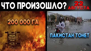 Что произошло в мире 22 августа ? ГОРИТ 200 000 ГА ЛЕСА ! Жуткое наводнение в Пакистане ! Wildfires