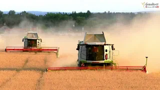 Velké žně 2019 - 6x Claas Lexion | Big harvest 2019