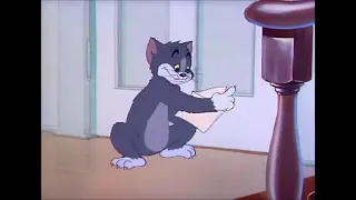 Tom and Jerry, 14 Episode   The Million Dollar Cat 1944