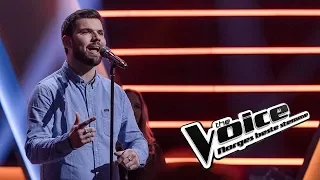 Ray Hardy Johansen | Knockouts | The Voice Norge 2019