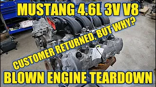 Mustang GT 3V 4.6 Teardown! Not A Normal 3V Failure But Something That'll Kill ANY Engine!