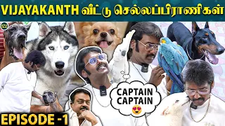 "Captain..Captain-ன்னு பேசிய Vijayakanth வீட்டுக்கிளி 😱" | Vijaya Prabhakaran's Pets Interview