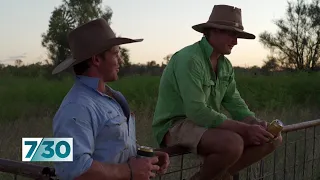 The lure of the life of a jackeroo | 7.30