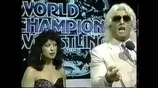 NWA World Championship Wrestling 4/13/85