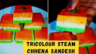 Tricolour Steam Chenna Sandesh|Independence Day special |Tricolour Steam chenna burfi | TFR