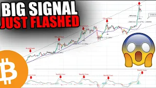 BIG BITCOIN WARNING! - This Bearish Signal Just Flashed [Why I Am Buying Altcoins Now....]