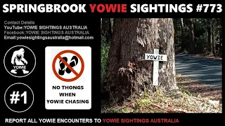 YOWIE SIGHTING SPRINGBROOK #773