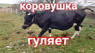 🐄НАШИ БУДНИ В ДЕРЕВНЕ🐐