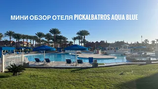 Обзор отеля pickalbatros aqua blue. Январь 2024.