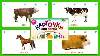 Карточки для детей - Домашние животные (20 карточек) Карточки Домана