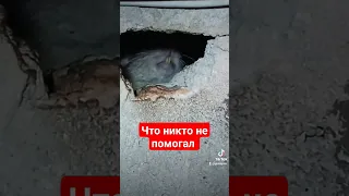 Что никто не помогал