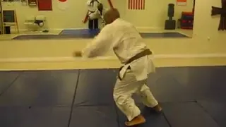 Ukemi Waza