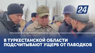 В Туркестанской области подсчитывают ущерб от паводков