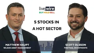 Buy Hold Sell: 5 stocks in a hot sector