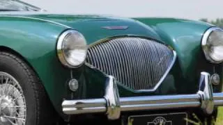 1955 Austin Healey 100/4 BN1