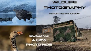 MY NEW PHOTO HIDE // WILDLIFE photography in NORTHERN NORWAY