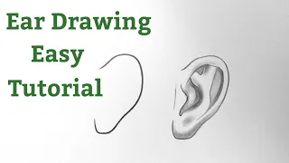 How to draw ears for beginners step by step Ear drawing tutorial with pencil shading easy